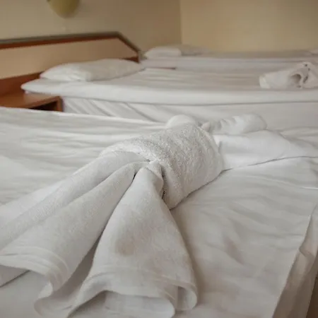Arena Hostel